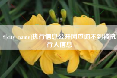 天门执行信息公开网查询不到被执行人信息