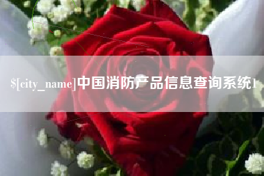 天门中国消防产品信息查询系统1