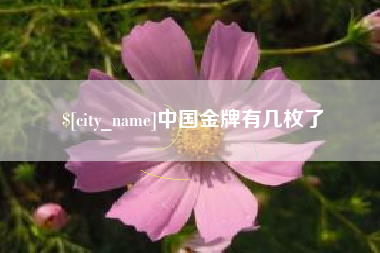 天门中国金牌有几枚了