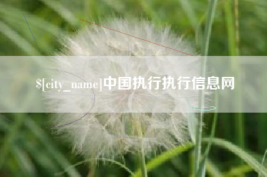 天门中国执行执行信息网