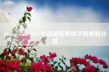天门2021中国消防救援学院录取分数