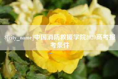 天门中国消防救援学院2020高考报考条件