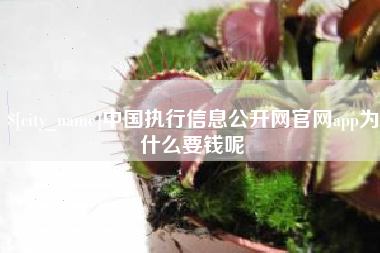 天门中国执行信息公开网官网app为什么要钱呢