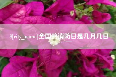 天门全国的消防日是几月几日