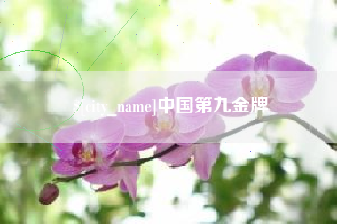 天门中国第九金牌