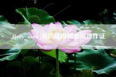天门消防证国网查询操作证