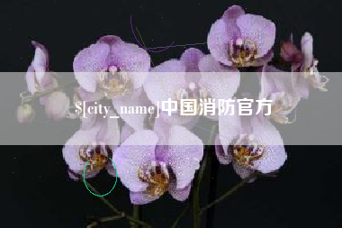 天门中国消防官方