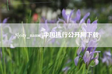 天门中国执行公开网下载