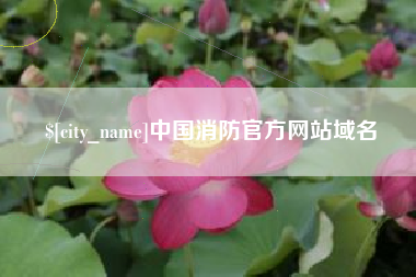 天门中国消防官方网站域名