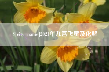 天门2021年九宫飞星及化解