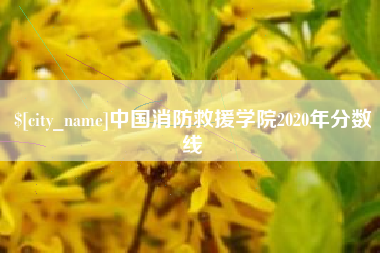 天门中国消防救援学院2020年分数线