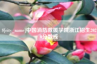天门中国消防救援学院浙江招生2020分数线