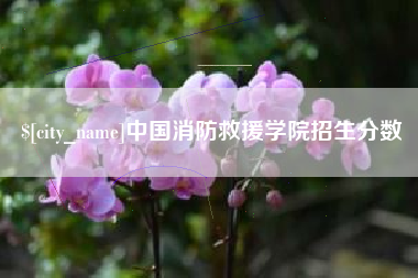 天门中国消防救援学院招生分数