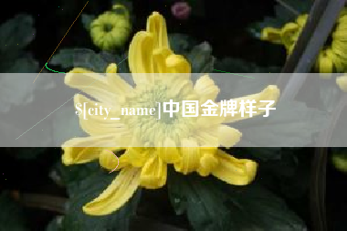 天门中国金牌样子