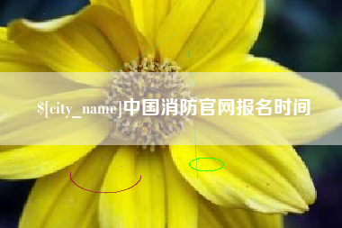 天门中国消防官网报名时间