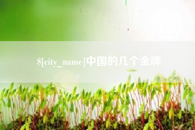 天门中国的几个金牌