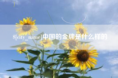 天门中国的金牌是什么样的