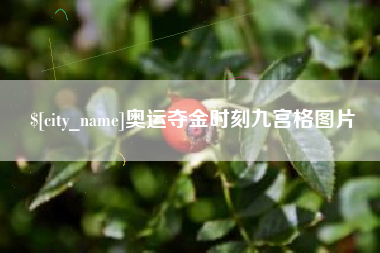 天门奥运夺金时刻九宫格图片