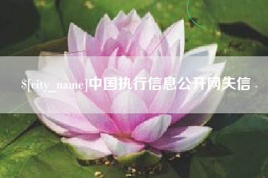 天门中国执行信息公开网失信