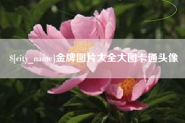 天门金牌图片大全大图卡通头像
