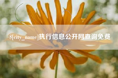 天门执行信息公开网查询免费